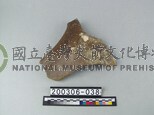 象盆骨