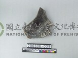 象盆骨