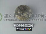 象臏骨
