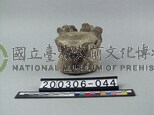 象脊椎骨