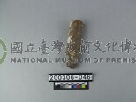 象趾骨