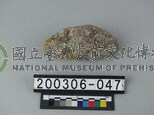 象骨（部位不明）