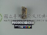 象骨（部位不明）