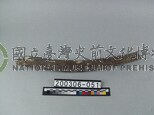象肋骨