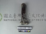 牛肢骨