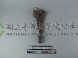 牛肢骨