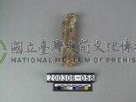 牛肢骨