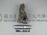 牛肢骨