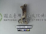 牛肢骨