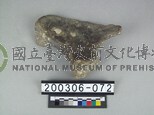 牛盆骨