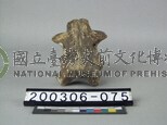 牛脊椎骨