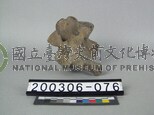 牛脊椎骨