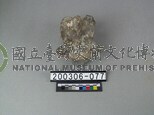 象脊椎骨