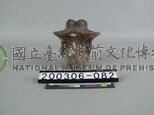 象脊椎骨