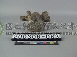 牛脊椎骨