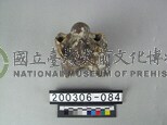 牛脊椎骨