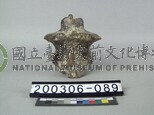 象脊椎骨