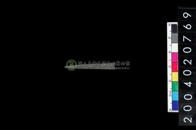 石錐