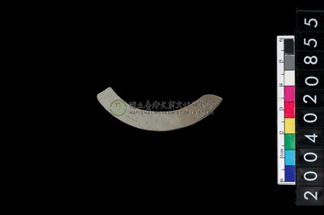 石環
