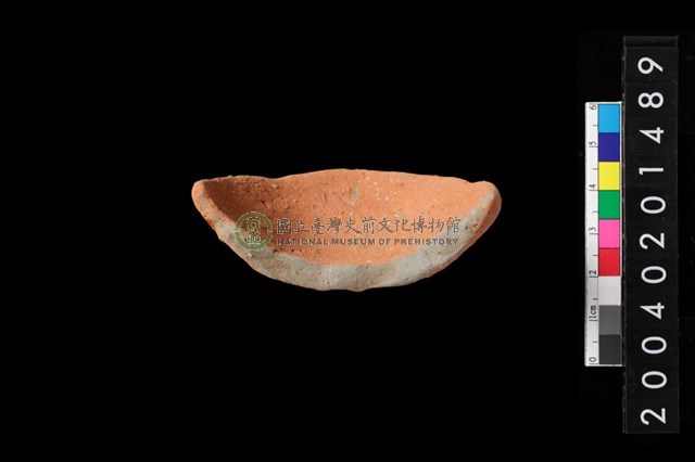 陶豆