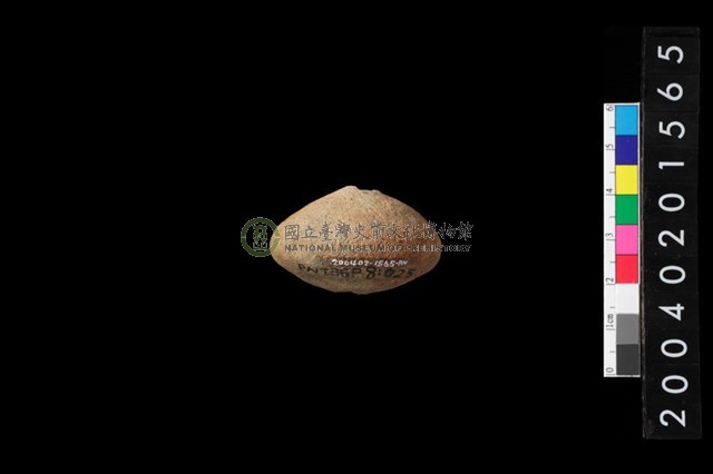 陶紡輪
