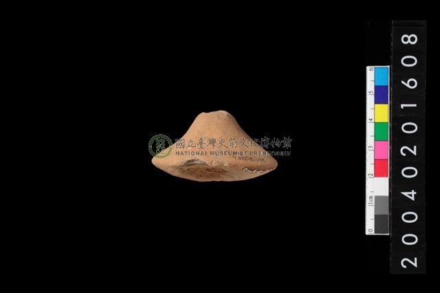 陶紡輪