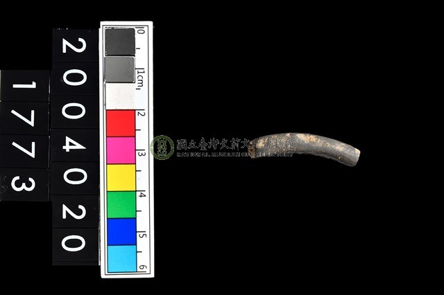 陶環