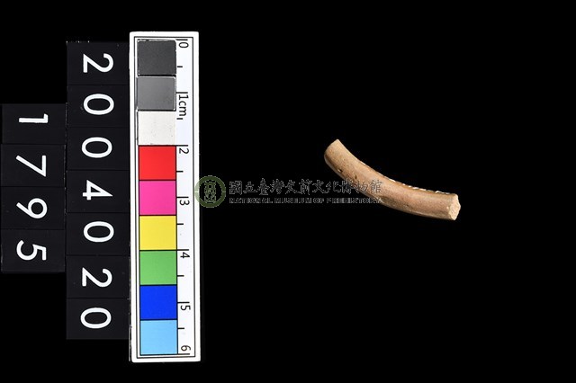 陶環