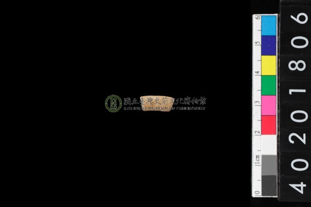 陶環