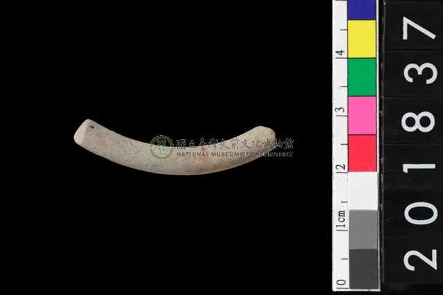 陶環