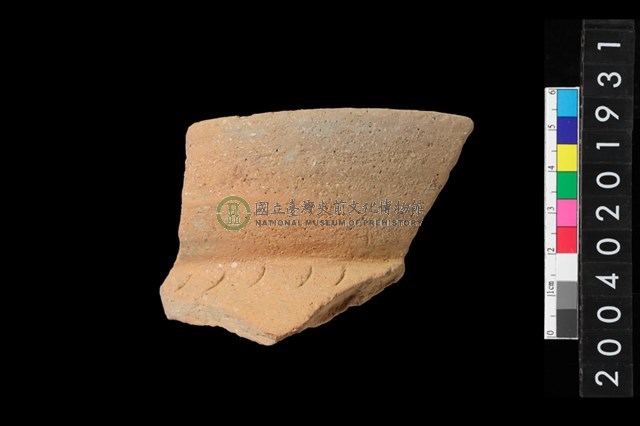 罐口緣殘件