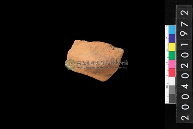 帶鈕折肩
