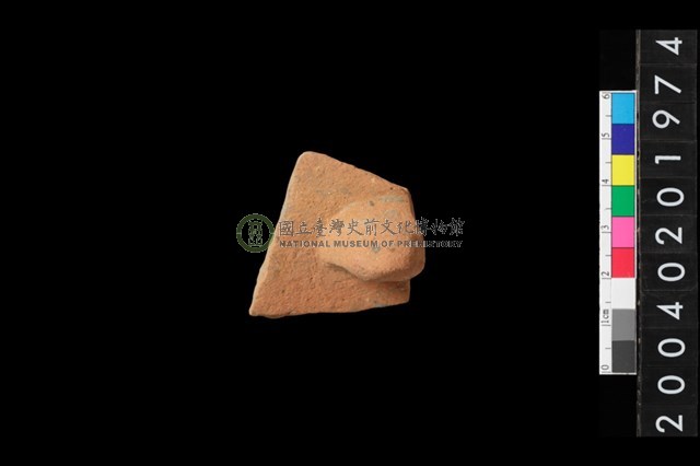 帶鈕折肩