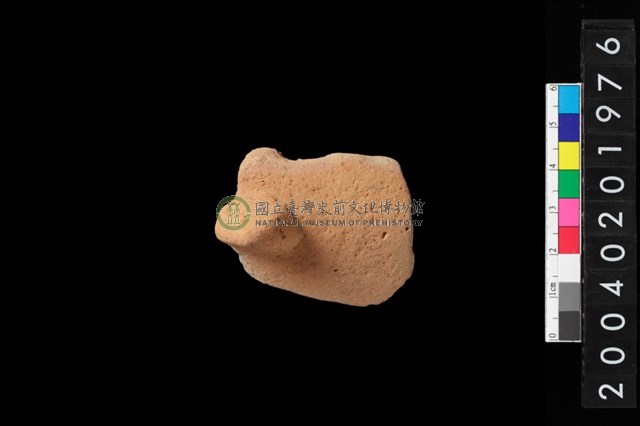 帶鈕折肩