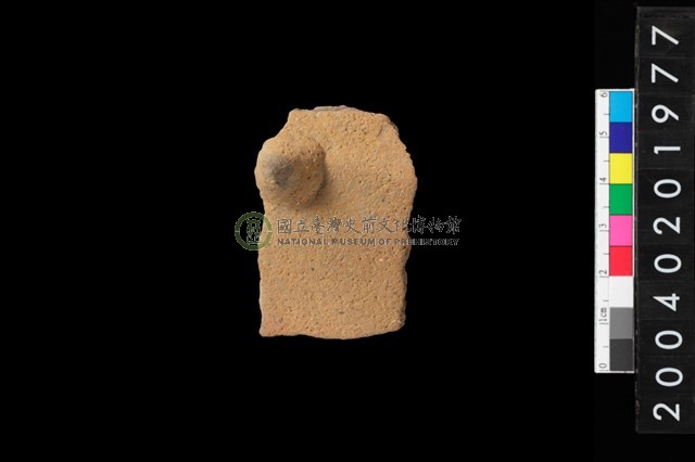 帶鈕折肩
