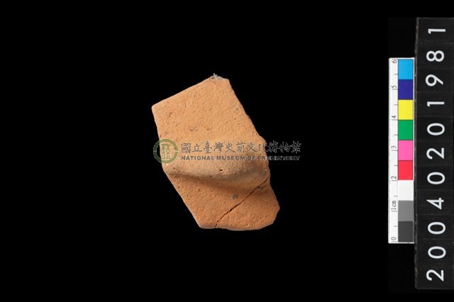 帶鈕折肩