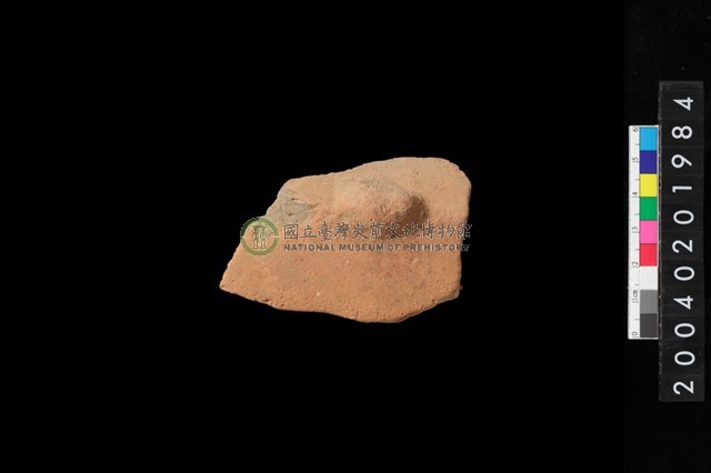 帶鈕把折肩