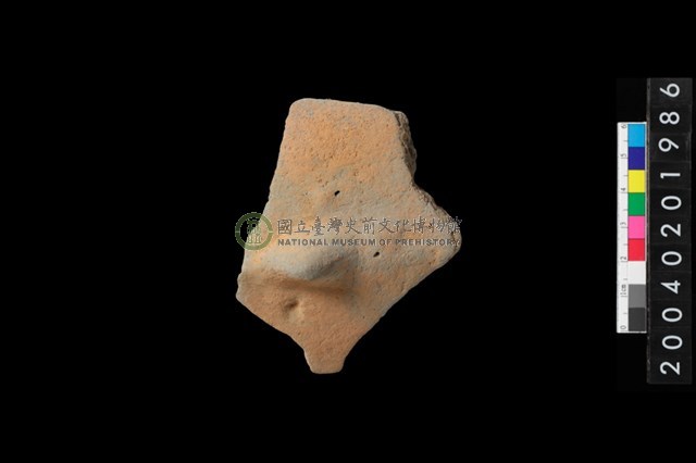 帶鈕把折肩