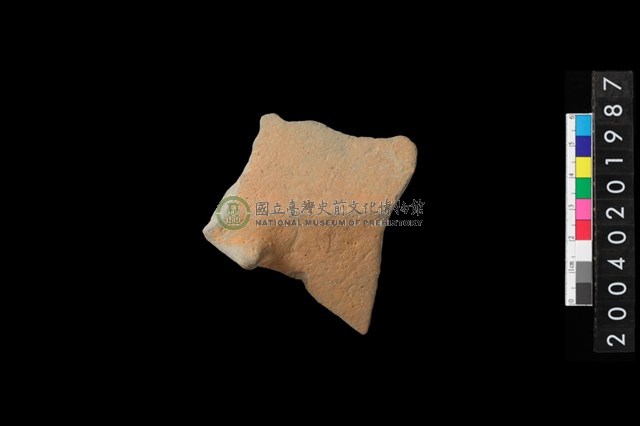 帶鈕把折肩
