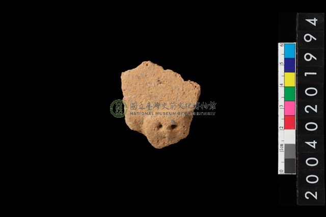 帶鈕折肩