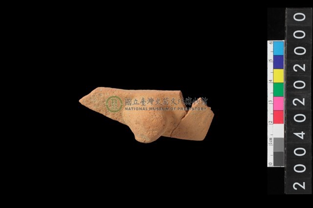 帶鈕把腹片
