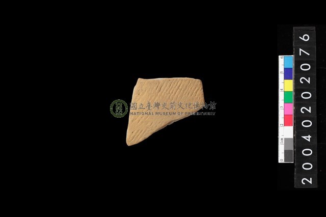 腹片