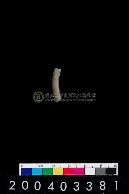 陶環