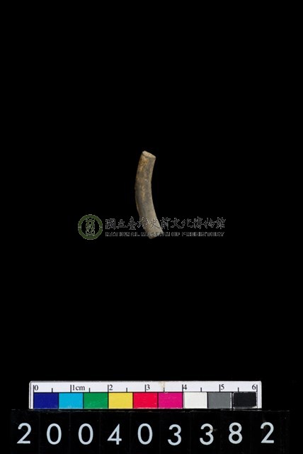 陶環