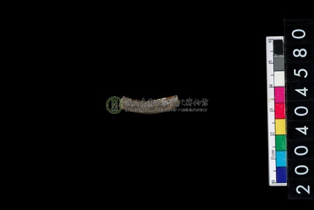 陶環