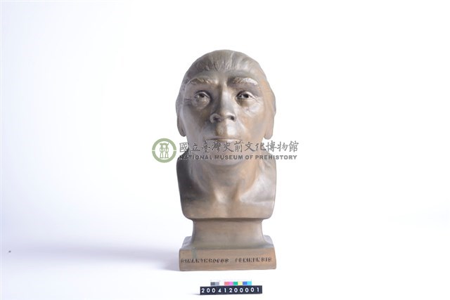 北京人復原人頭像