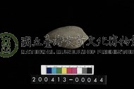 生痕化石