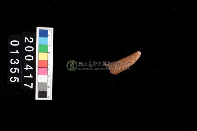 鹿角