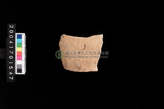 腹片-素面
