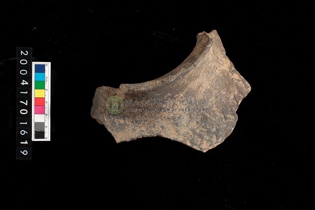 高口罐口緣-帶紋